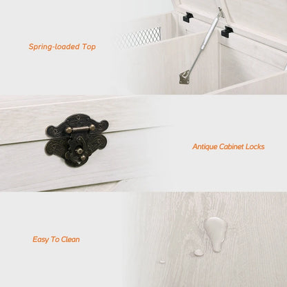 Table basse WAMPAT, table basse relevable avec rangement - 1 pièce