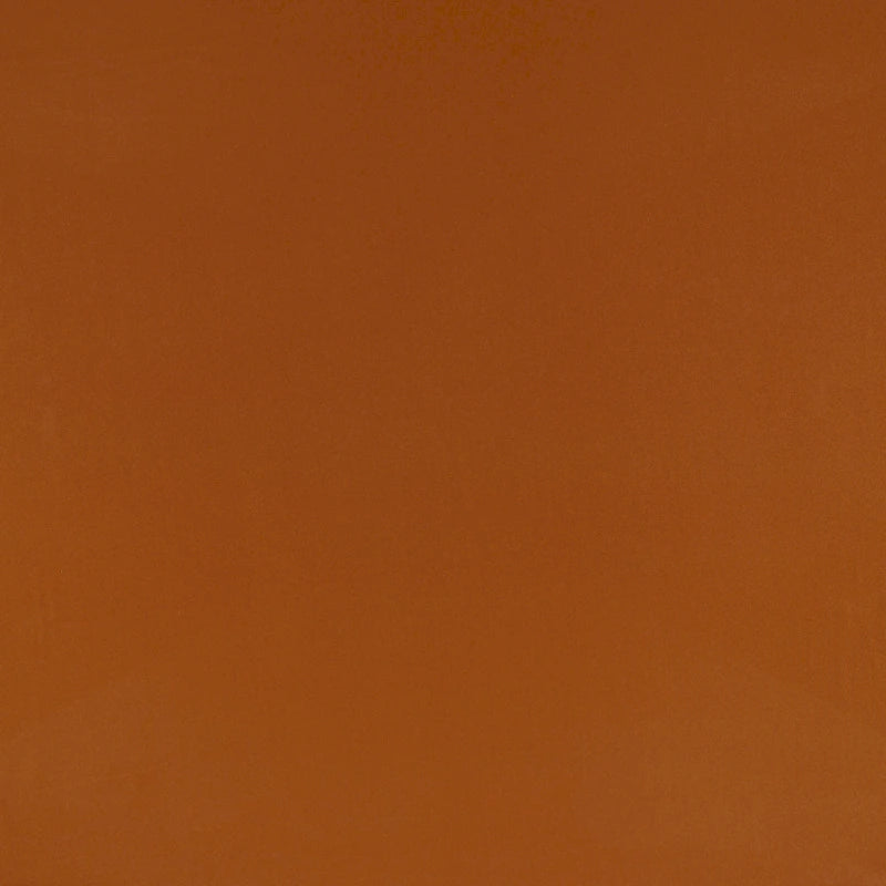 Matelas futon Trupedic pleine grandeur de 6 pouces sans cadre (matelas seulement)