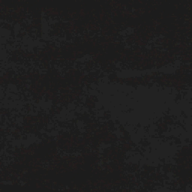 vidaXL Chaises de salle à manger, lot de 2, fauteuils d'appoint rembourrés en velours pour salon - 20,3 x 24 x 30,9