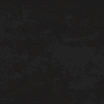 vidaXL Chaises de salle à manger, lot de 2, fauteuils d'appoint rembourrés en velours pour salon - 20,3 x 24 x 30,9