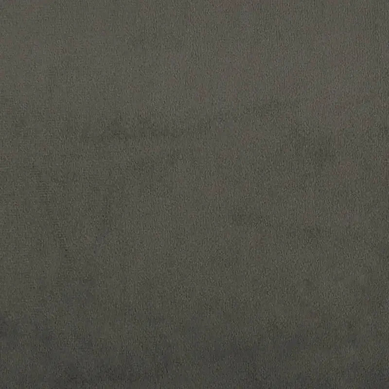 vidaXL Chaises de salle à manger, lot de 2, fauteuils d'appoint rembourrés en velours pour salon - 20,3 x 24 x 30,9