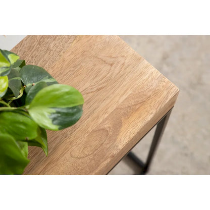 Table d'appoint fine en bois et métal Kate et Laurel Karlsen