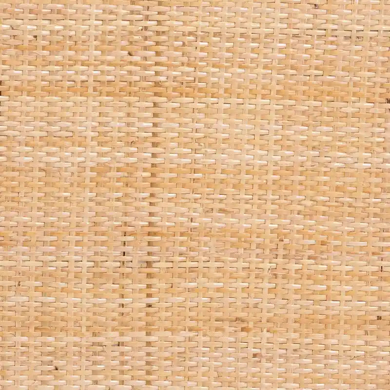 Ensemble de 2 chaises de salle à manger Maryland Modern Bohemian en rotin naturel et bois d'acacia